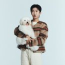 DM카페