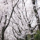 진주농원 이미지