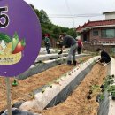 괴산농장 이미지