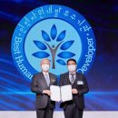 일등개발