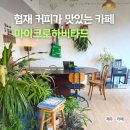 하비하우스 | 커피가 맛있는 협재카페, 3번이나 방문한 마이크로하비타드