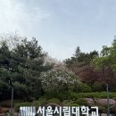 [Venue] 서울시립대 자작마루 웨딩 방문 후기 및 포기 이유 | 서울시 공공예식 야외웨딩