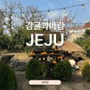 OFF LAMP | 제주 여행코스, 가볼만 한 곳 Top6 (서쪽편)