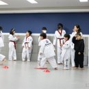 상록태권도 이미지