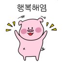 안다미롱 이미지