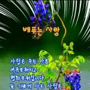 잡동산이 이미지
