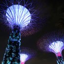 자연슈퍼 이미지