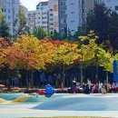 부천시청 이미지