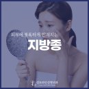 성모라인성형외과의원 이미지