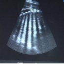 우치농장 이미지