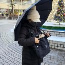 강아지앞가방 스와니펫 반려동물 이동가방 라임 프론트백 소형견 사용 후기