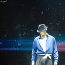 모야 이미지