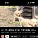 굿모닝 메디 | 그리고 갑차기스러운데 11월 취소해도 돼?