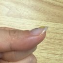 내돈내산 네일아트 - 가성비 좋은 신림네일아트~뷰뷰팩토리
