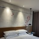 젠비즈니스호텔 | 싱가포르 숙소 추천 위치 가성비 끝판왕 젠 싱가포르 탕린 바이 샹그릴라 내돈내산 후기