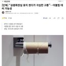 도쿄일상