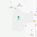 포은로 은행나무길 네이버블로그