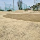 피닉스 골프 클럽 이미지