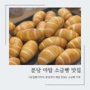 [ 가온길빵아저씨 ] 분당소금빵맛집 | 분당야탑 소금빵 제일 맛있는 곳 추천