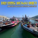 오기피싱 | 초보자도 가능한 태안 안면도 낚시 헬로우피싱 준비물까지 총정리