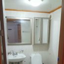 조천체육관 이미지