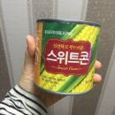 연남동 선인장이 그렇게 이쁘다면서요? 그래서 제가한번...