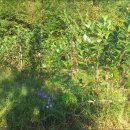 고령농장(2) 이미지