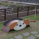 현대애견 이미지