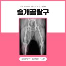Be 동물병원 이미지