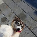 리버하우스 이미지