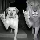 제이피트니스 이미지