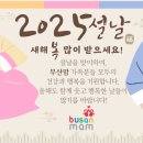 유료 쳇티피티 요금 얼마인지 아시는분? 이미지