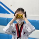 번개태권도 이미지