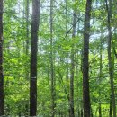 얼음골생태길 이미지