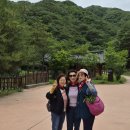 제265회 산유산악회 영덕 운서산 나옹왕사 장육사 탐방,~2026년6월25일(목)~ 이미지