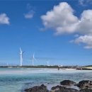 김녕약국 이미지