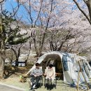 폴라리스야영장 | [경남 캠핑] 벚꽃캠핑의 성지 '의령벽계야영장' 2야영장 17사이트 후기