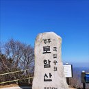 토함산 - 경주시 | 토함산