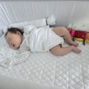 청룡체육관 | 2개월 아기 ㅣ 8-9주 아기 먹놀잠, 발달 변화 기록