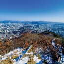 산세라 이미지