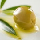 올리브(OLIVE) 이미지