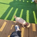 씨 스테이 앤 이미지