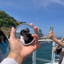 사오정식당 | 강원도 동해 가볼만한곳 묵호 스카이사이클 자이언트 슬라이드 후기