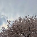 하늘마트 | 용인 수지 소나무마트 장보기 후기｜동네 식자재마트 가격 솔직 리뷰