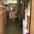 신내동-019 이미지