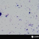 신세계동물병원 이미지