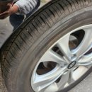 레몬카써비스 이미지