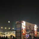 홍학로 | 2025 홍성 글로벌 바비큐 페스티벌 후기