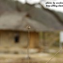 월산주막 이미지