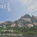 송지호부동산중개사무소 이미지